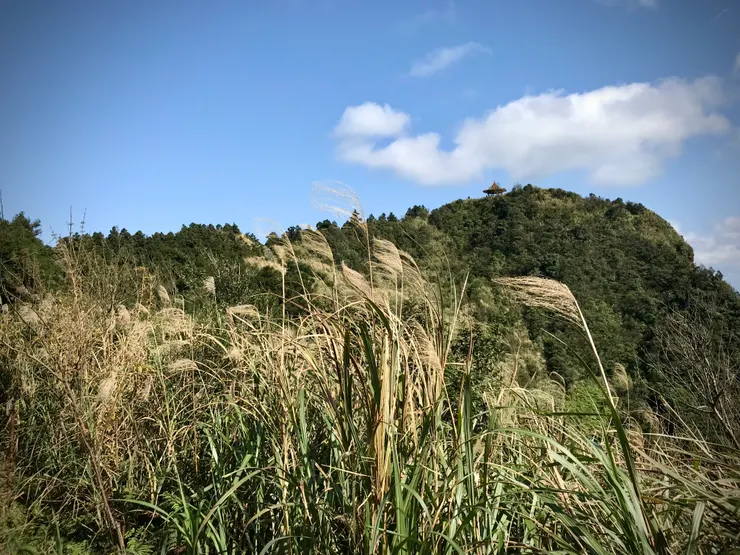 遠望「五分山瞭望亭」