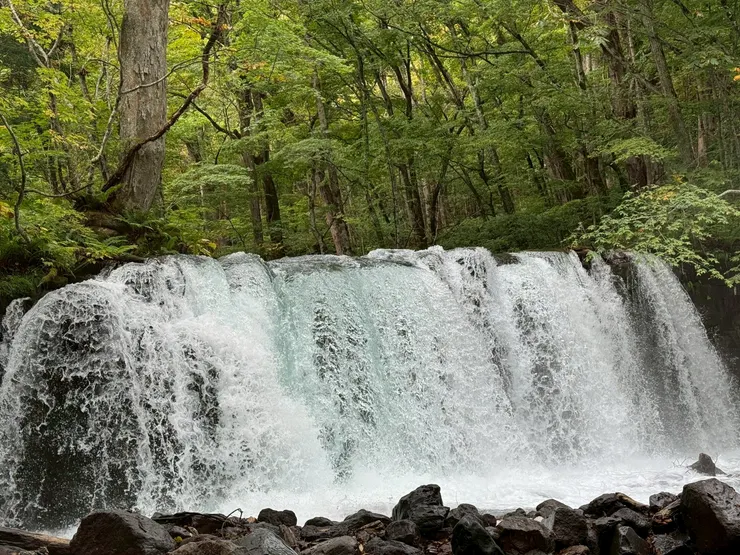 中間那塊真的好像玻璃一樣沁涼漂亮