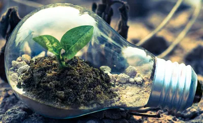 不動產與節稅的OL