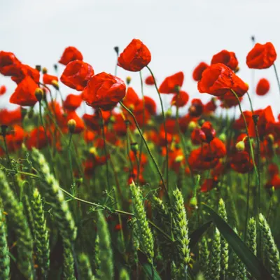 寫字人的嘰哩呱啦