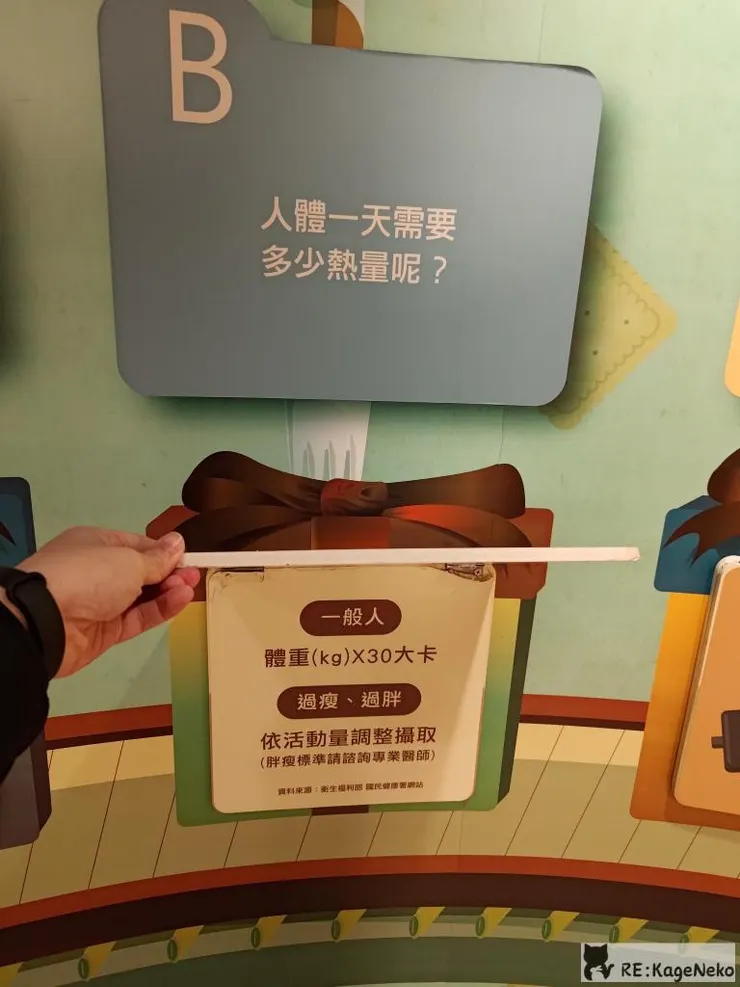 人體一天需要多少熱量