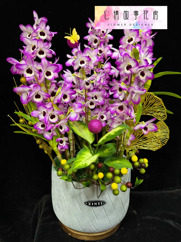 春天最美的賞花選擇——春石斛組合盆栽，為您的生活增添優雅氣息！ 台南心情故事花房