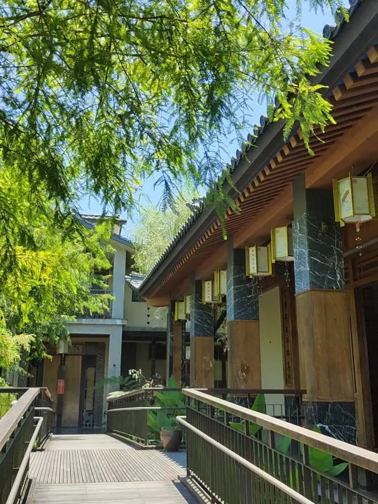 北后寺種植非常多落羽松，也算是宜蘭落羽松秘境之一