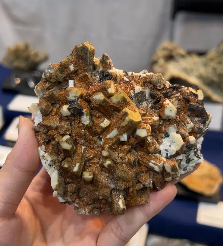 大阪礦物展也是挖掘日本本地礦的天堂，圖為微斜長石與菱沸石共生。