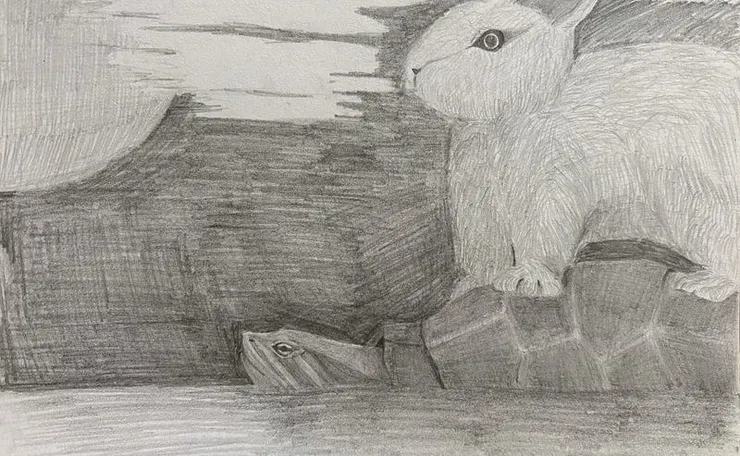 烏龜載著兔子過河