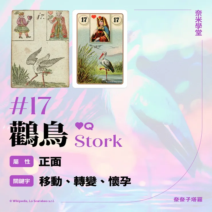 #17-鸛鳥 Stork