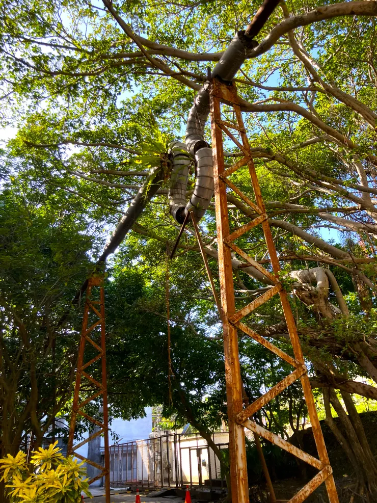 輸送蒸汽的架高管道，彎曲是用來緩衝熱漲冷縮的設計（自行拍攝）