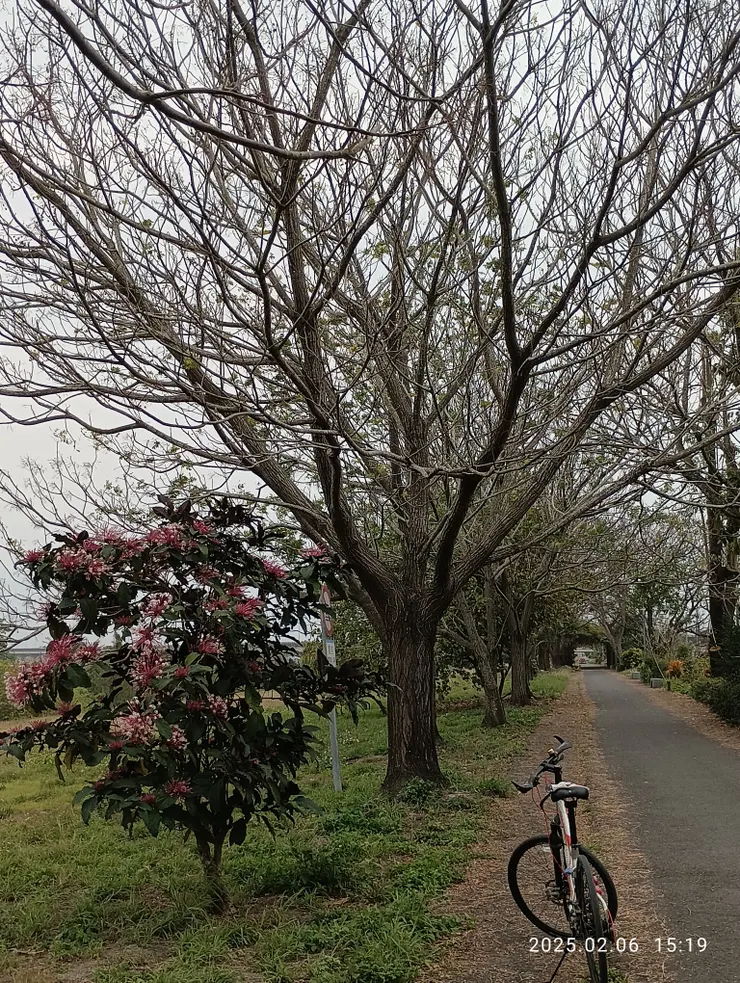 長長底堤岸如思延緜