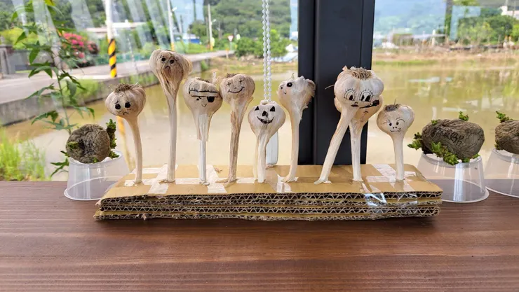 生命雖無法逆轉重來，卻可以蛻變重生。