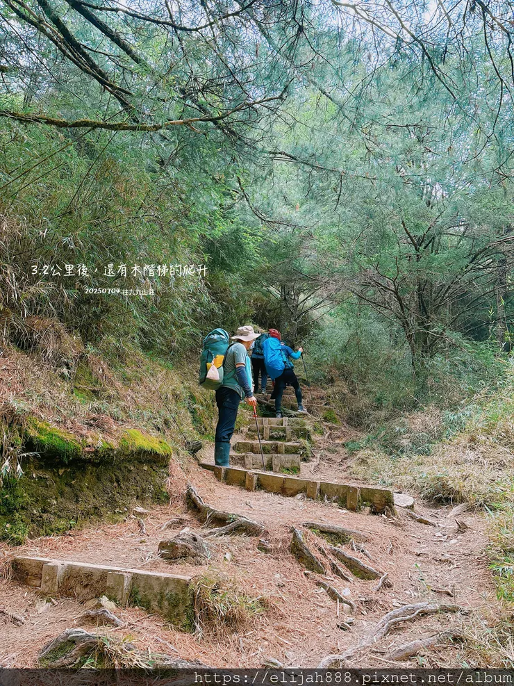 【大霸群峰4百岳。兩天一夜】觀霧大鹿林道東線騎越野單車/馬達