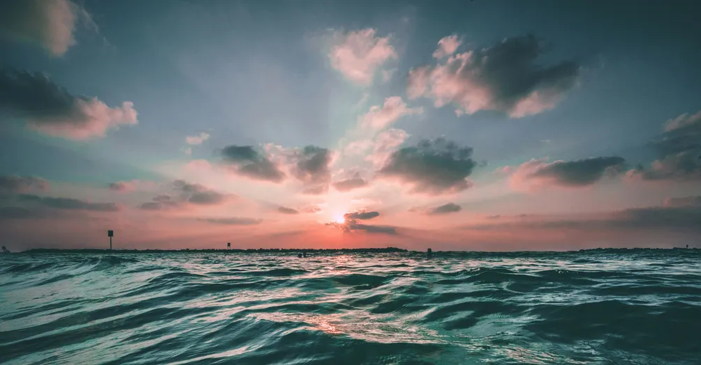 萊恩｜如果你也有一些職場心事