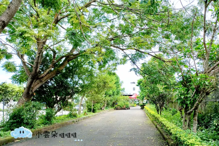 前往售票處之前有一小段林蔭大道