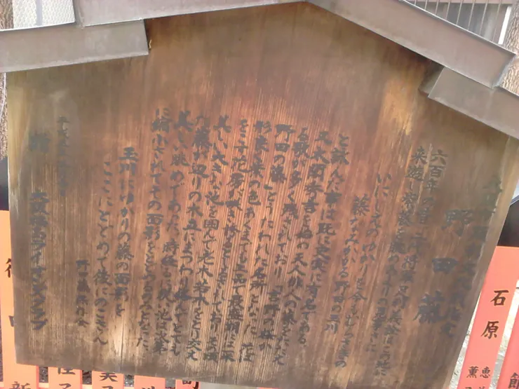 介紹野田藤的歷史