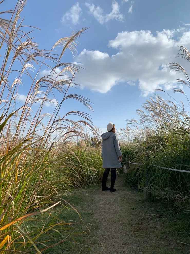 天氣很好所以天空拍起來超漂亮