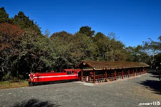 主題列車暫時停靠對高岳車站