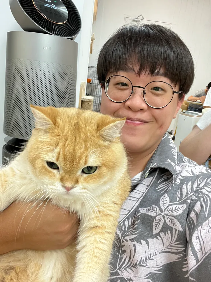 要跟貓拍照必須店員幫忙抱著