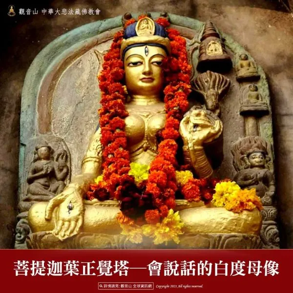 二十一度母的示現~會說話的度母像