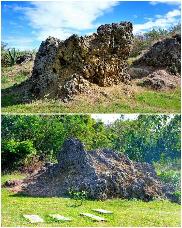 【年少買地建志甫造成靜好退休宅 太郎好客庭園有神龜與金蟾坐鎮！上為象徵財富的金蟾，看它面前不就吐出了一堆金銀財寶？下為象徵健康長壽的神龜。】