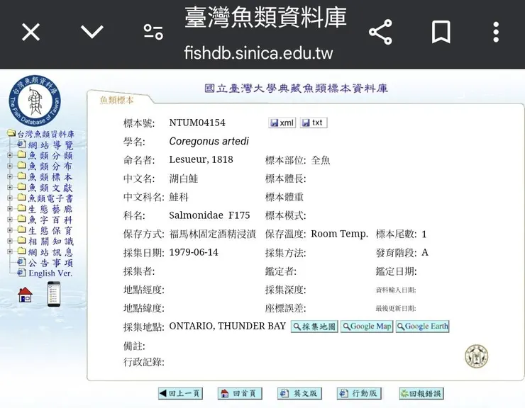 截圖自台灣魚類資料庫