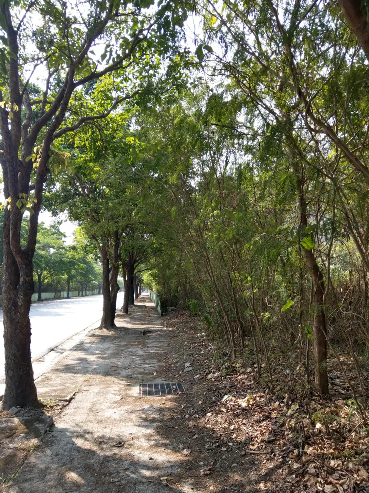 過橋後東行，有人行道，雖年久失修，但有樹蔭很涼爽。好奇這段路全無人家，為何會有人行道。花蓮秀林。