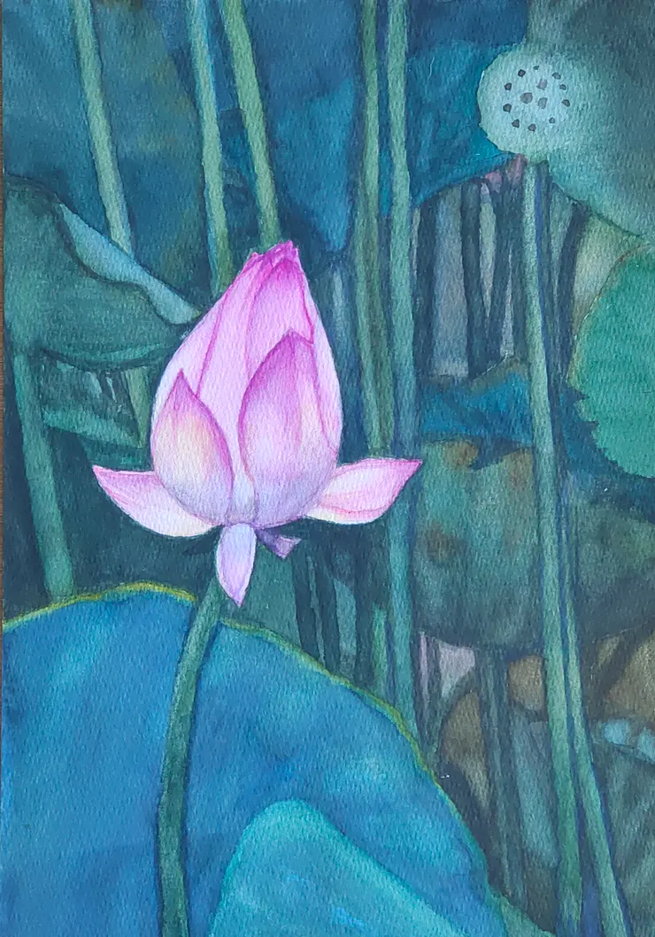 夏荷之一，水彩，8開。