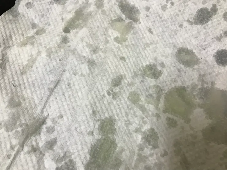 煎之前用紙巾吸走薑上的水，免得油爆