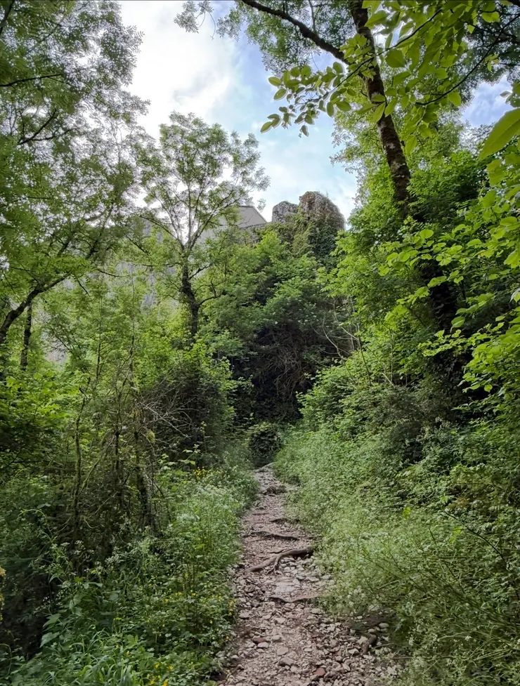 天啊‼️原來要爬山才能到我的夢想之地