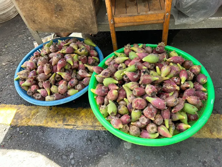 當地特產<仙人掌果實> 長這樣....