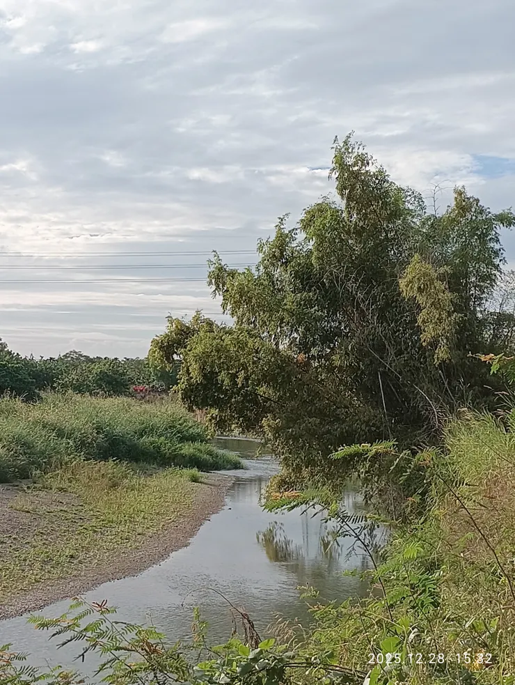 暮歸修竹倚冷翠