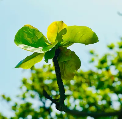 氣泡水《用照片影像聊聊天》