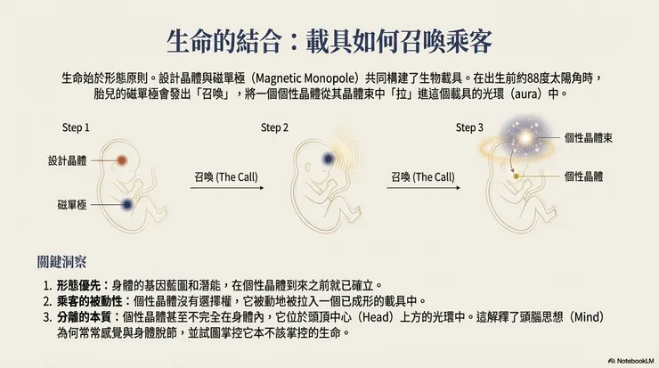 圖源：Google NotebookLM