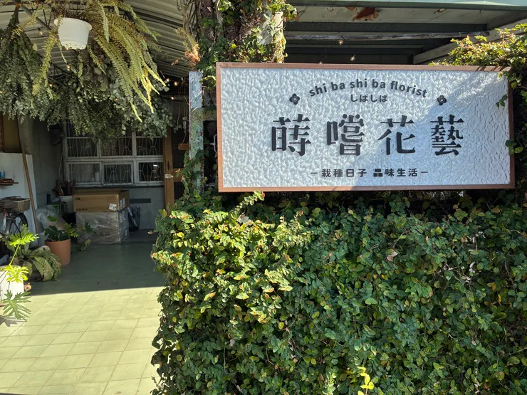 從門口開始就有許多綠色植物迎接