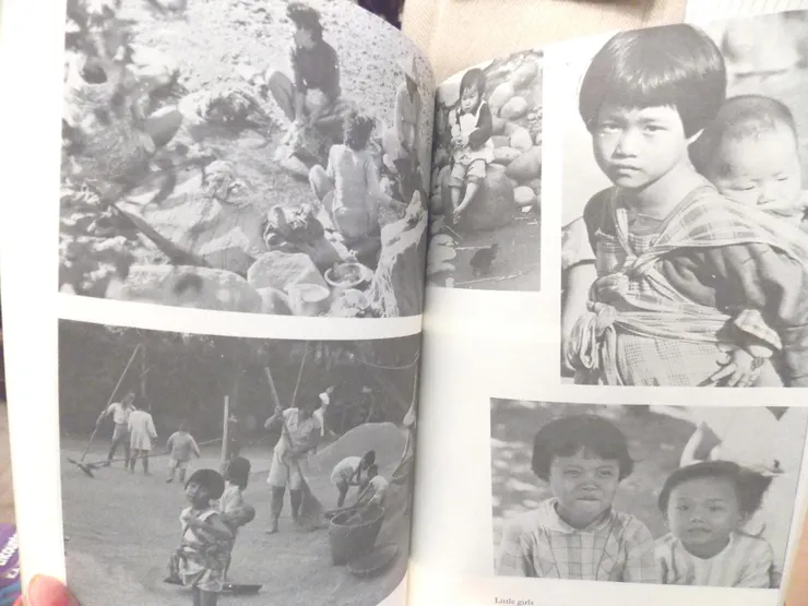 Women and the Family in Rural Taiwan by Wolf, Margery