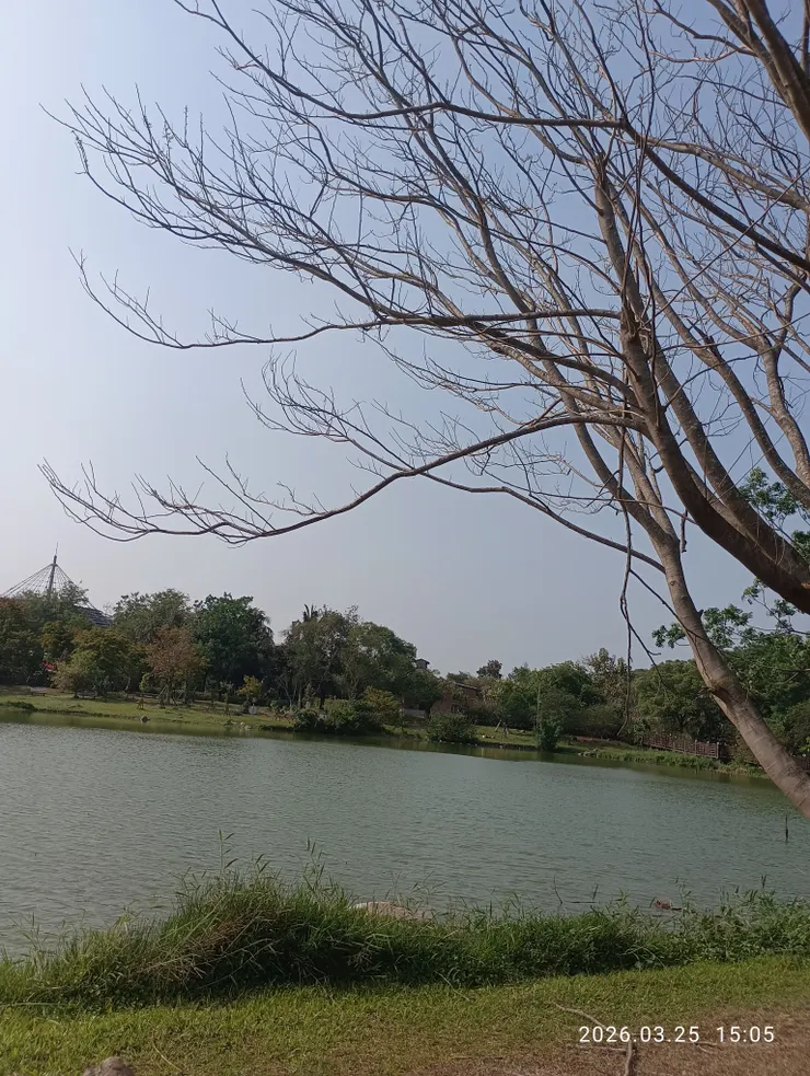 誰倚澄湖弄明月，皆自拍攝