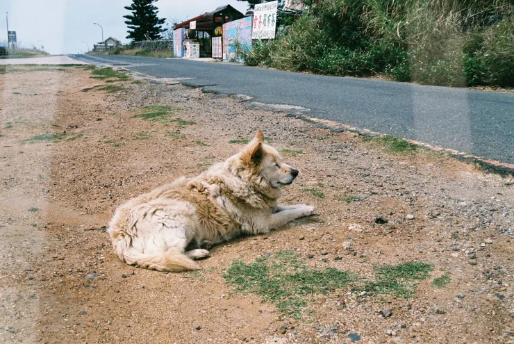 Pentax MX - FUJI Premium400