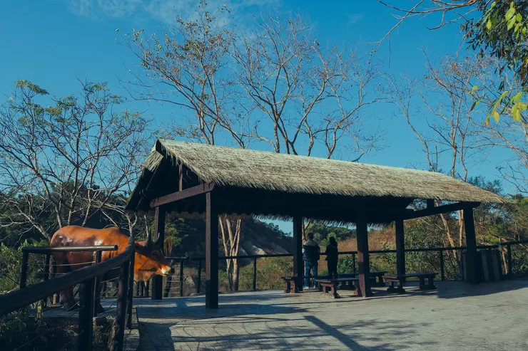 牛埔泥岩水土保持教學園區