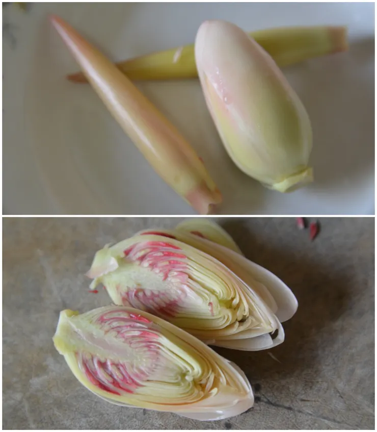 上為火炬薑嫩花苞與花芽；下為切開的火炬薑嫩花苞