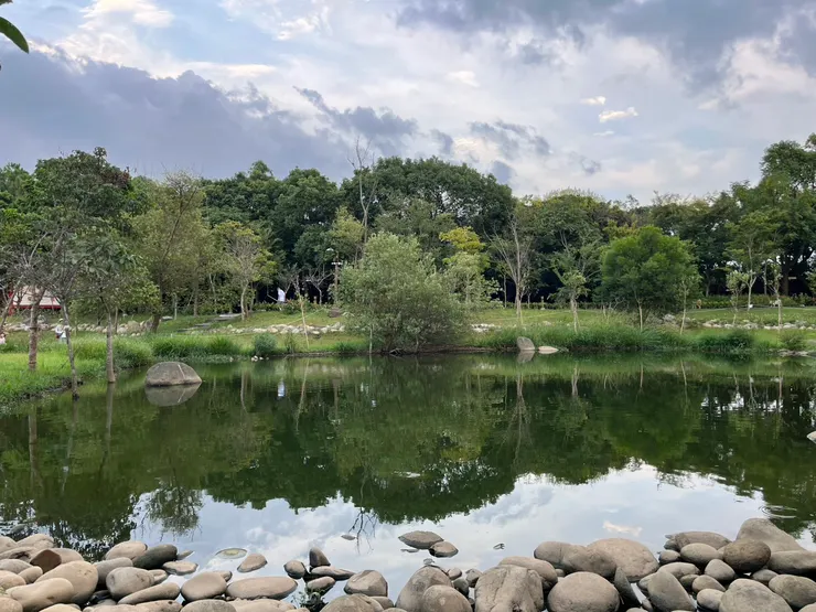 森林公園的中央水池
