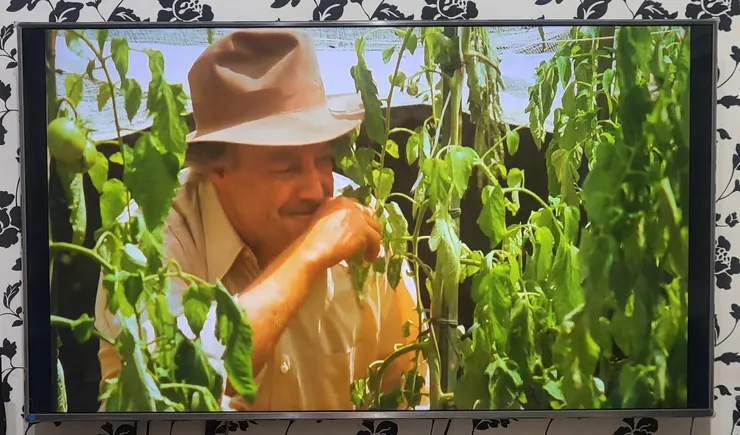 《教父》電影截圖