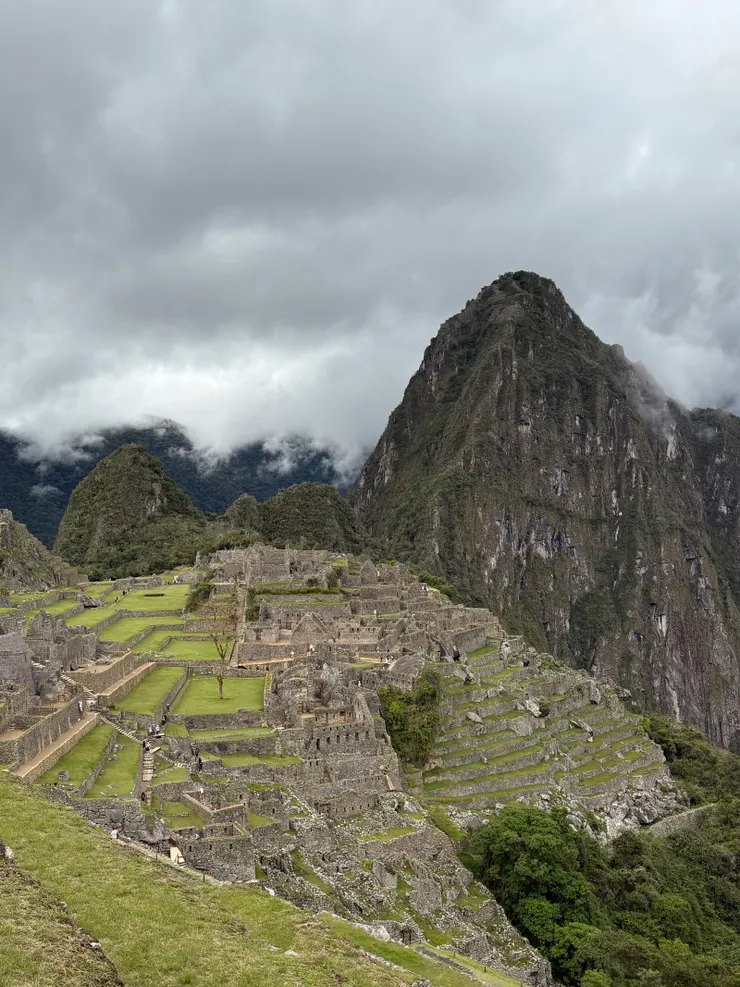 看到這個畫面，簡直就是夢想成真