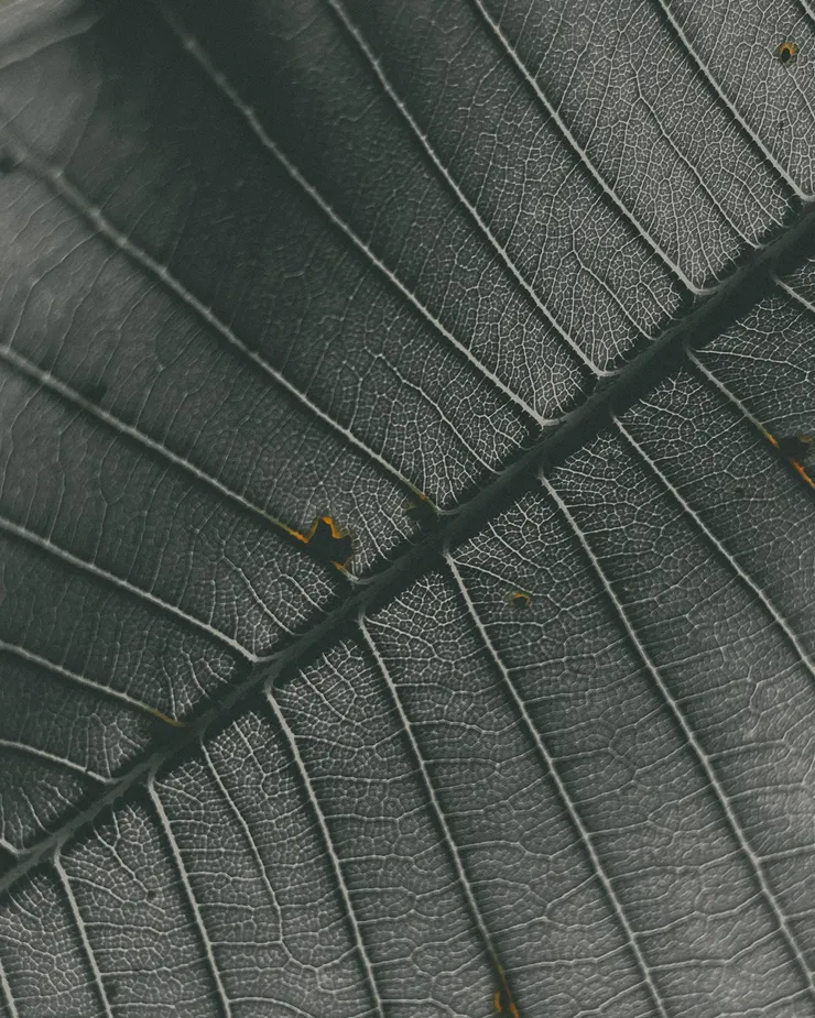 作者拍攝(不知道為什麼很符合恐慌發作時的想像畫面)