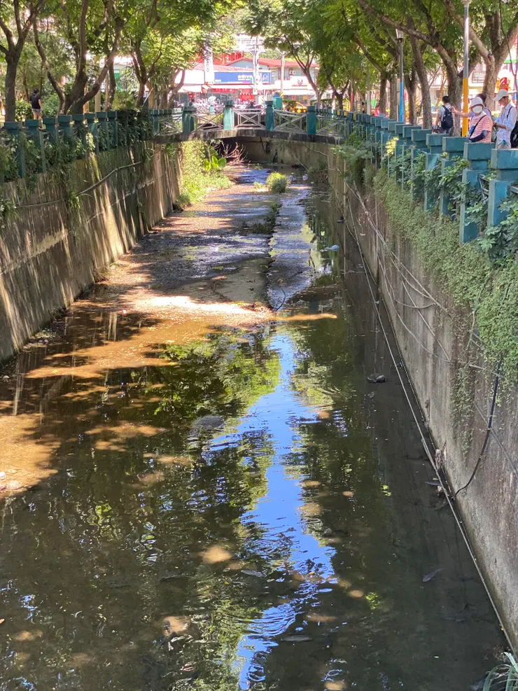 碧安公園邊的溝渠，是永豐圳與五重溪的匯流處，也是五重溪的古河道。