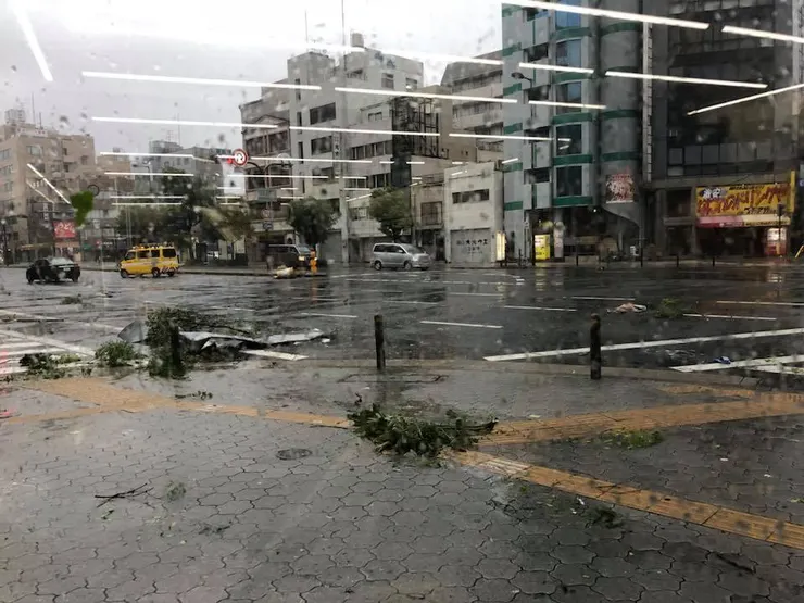 颱風登陸時的風雨交加
