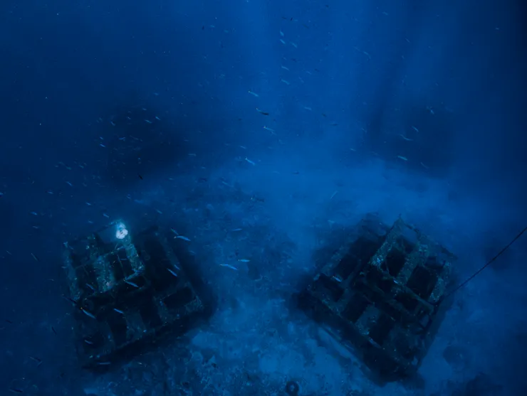 鋼鐵礁礁底水深約30米，屬於中級潛點。Photo by 阿得／@bboykent8263