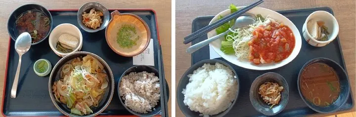 岐阜山里膳990円:4顆星(強力推薦) / 日替涼拌雞肉定食780円:4顆星(強力推薦)