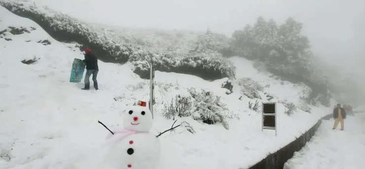 南投合歡山下雪