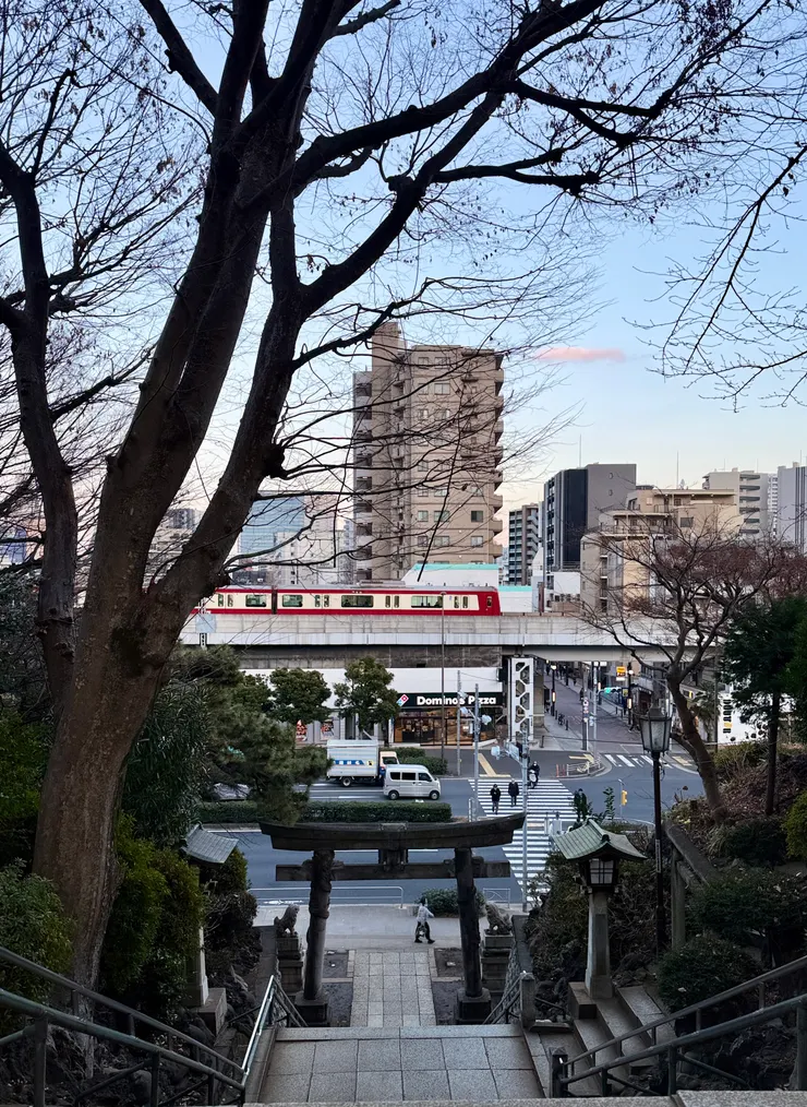 在這個制高點上觀看城市的流動。