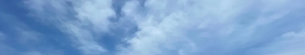 討厭香菇的人的沙龍