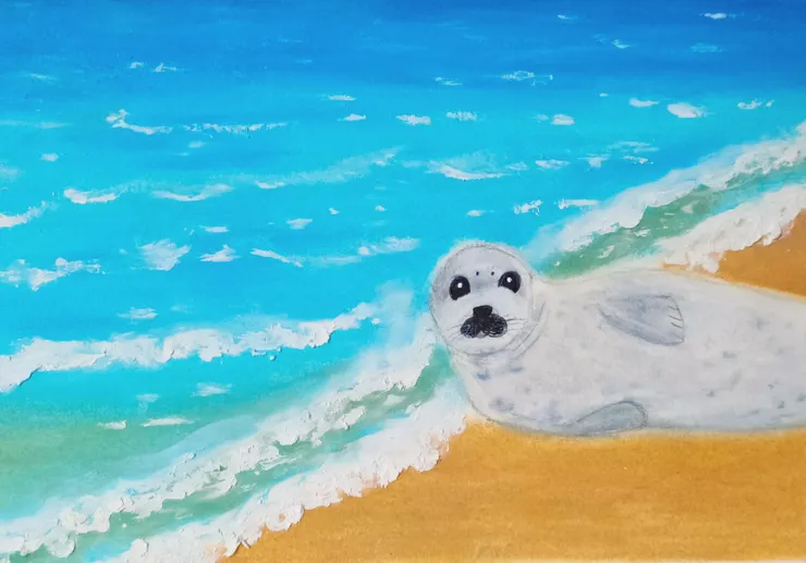 神情呆滯的大叔海豹。 油性粉彩/心晴