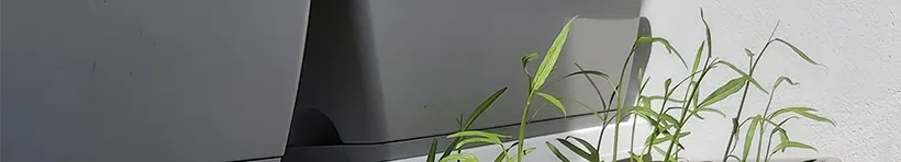 Shereinaレナ的沙龍